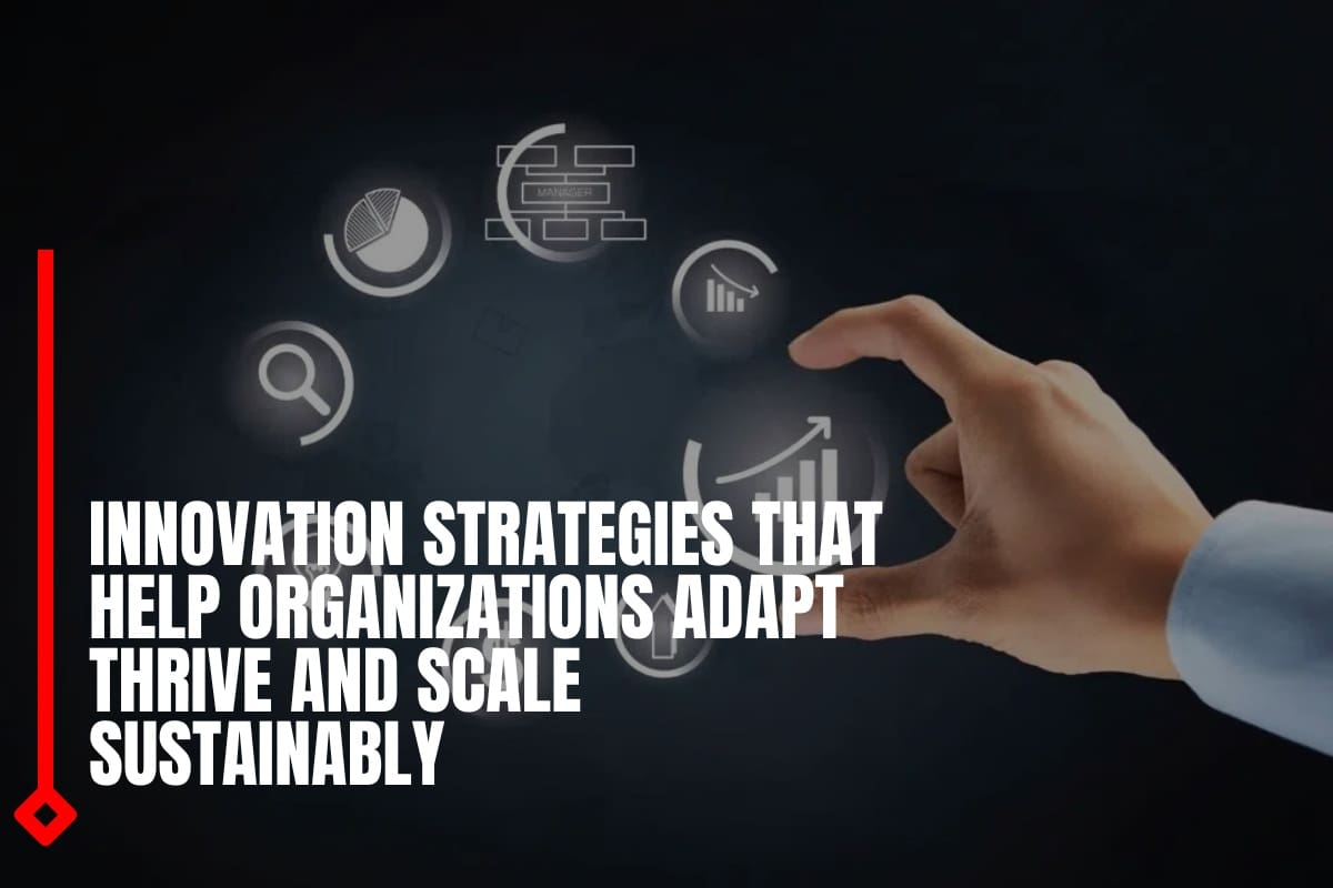 Innovation strategies that help organizations adapt thrive and scale sustainably