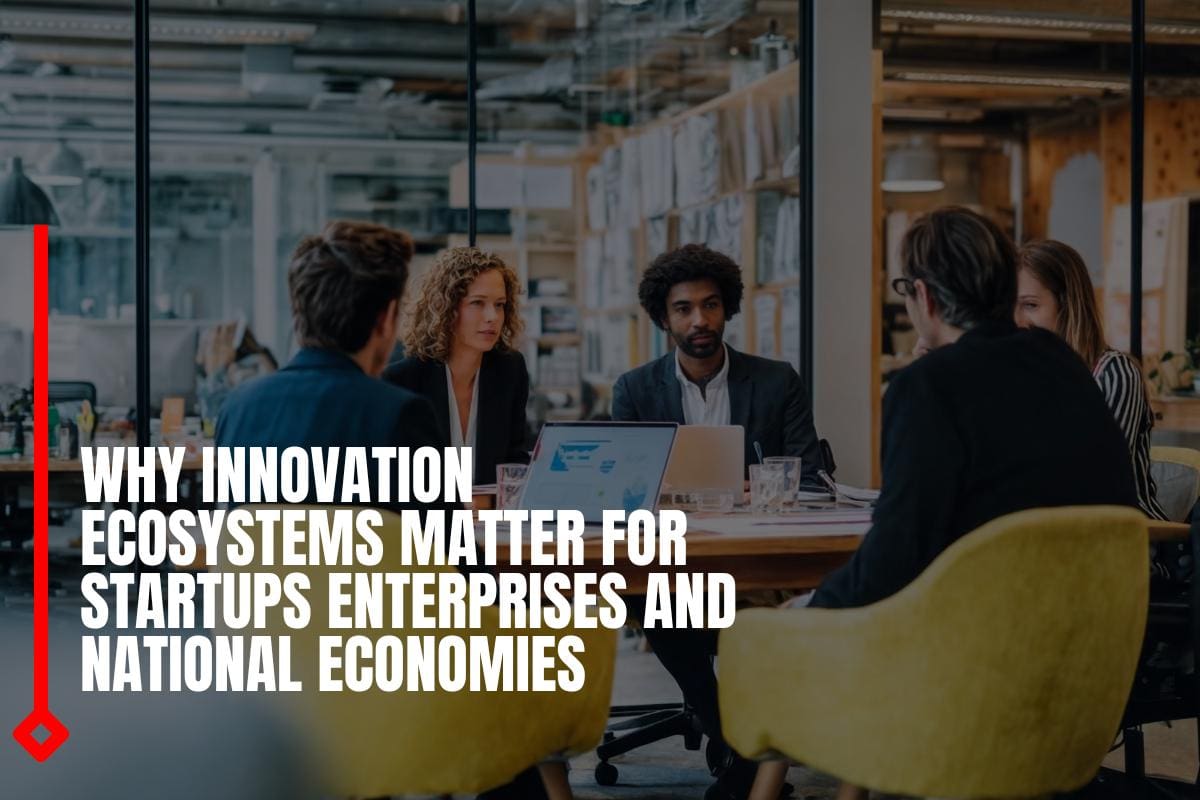 Why innovation ecosystems matter for startups enterprises and national economies