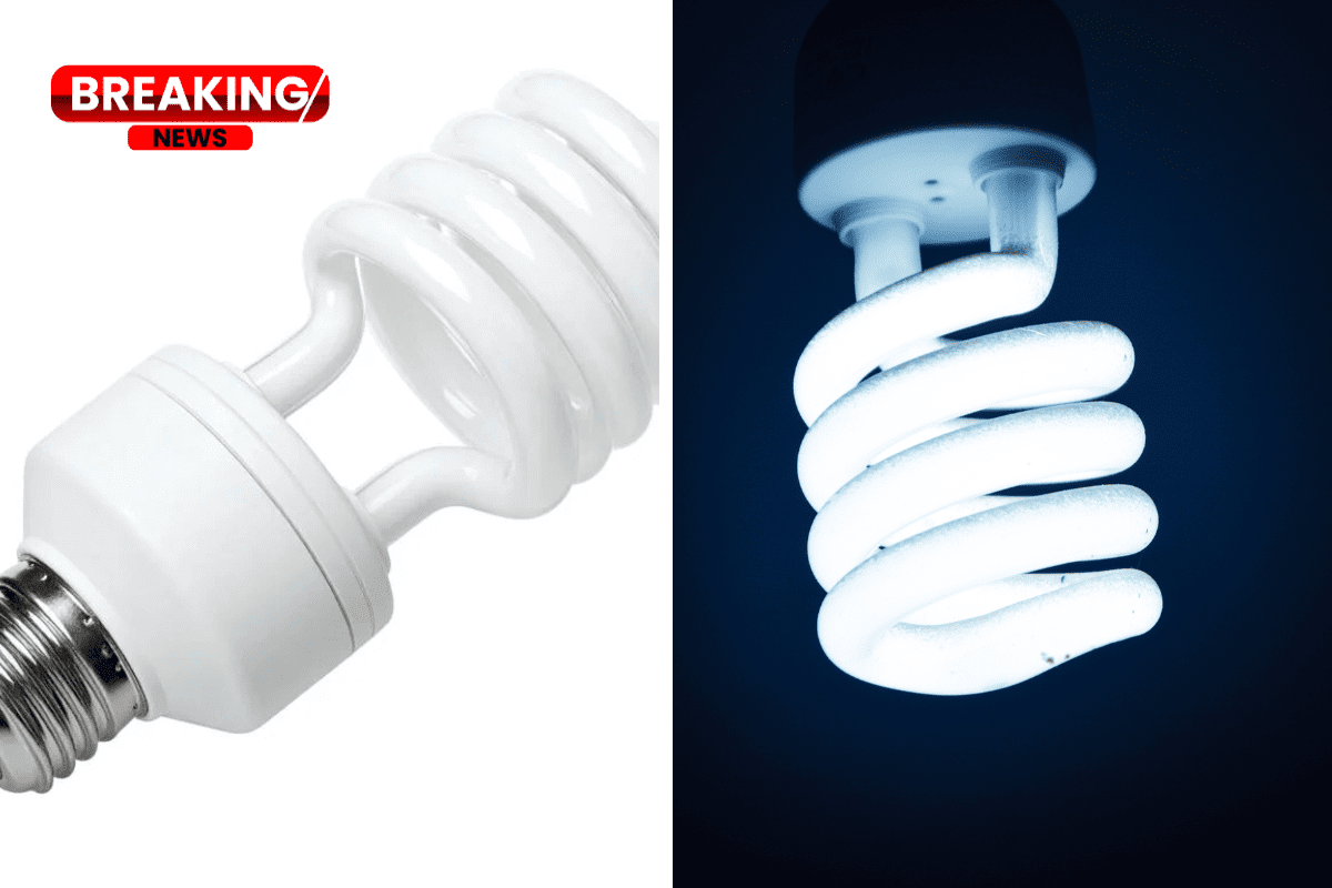 Bulb ban now in place in Illinois