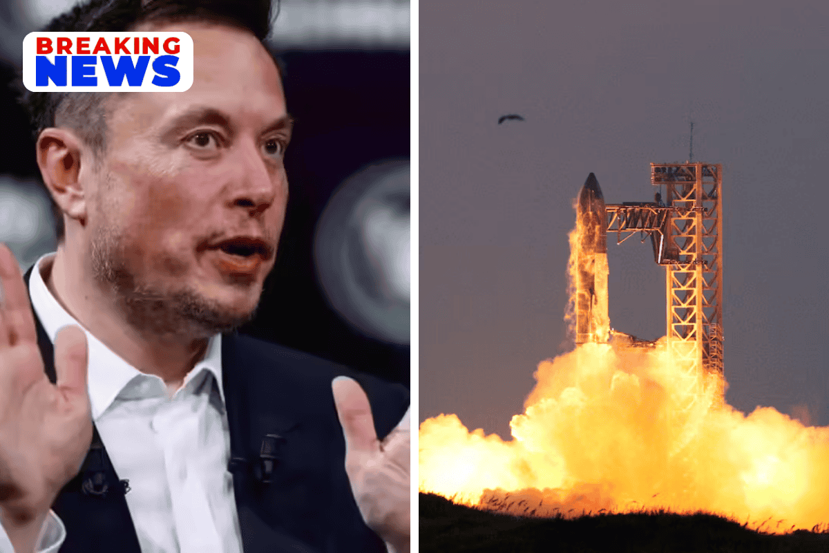 SpaceX in merger talks with other Musk companies ahead of IPO