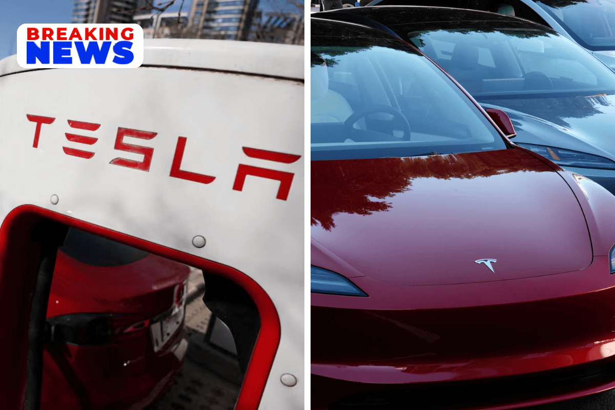 Tesla poised to be early winner as Canada opens door to Chinese-made EVs